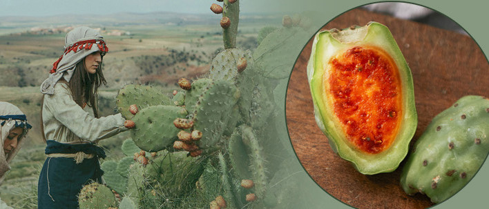 sk-ii算不算大品牌,sk-ii什么档次