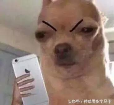 13个大牌圣诞限定再不买就晚了,圣诞节限量版有必要买吗