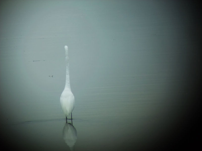 穷驴500块囧囧游香港（详细攻略带图）