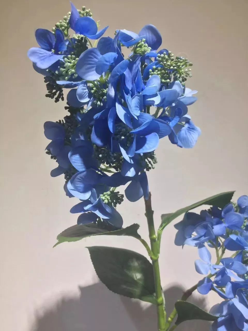 仿真花贵还是真花贵,仿真花贵还是鲜花贵