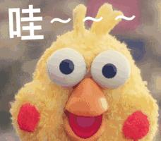 厦门某香港营销总与老板对赌，输了就从115米顶楼“崩极”下去