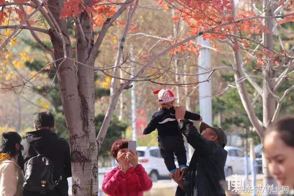 哈尔滨高校打卡,哈尔滨的风向标著名打卡地