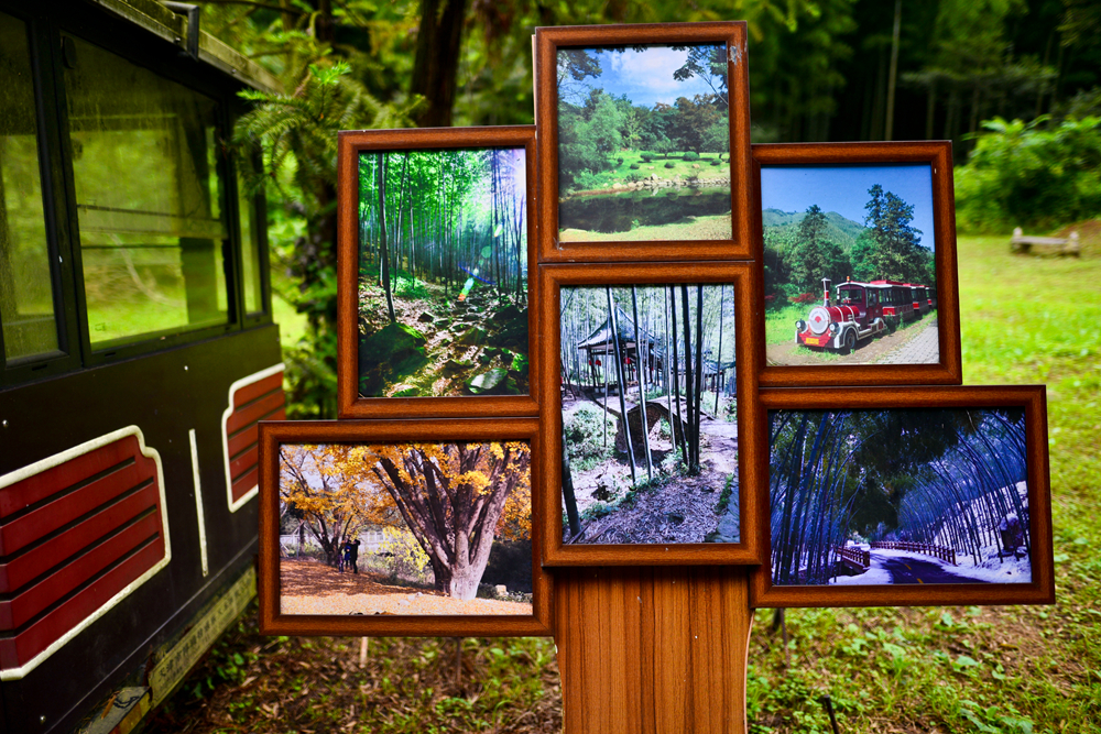 宜兴竹海的风景,推荐一个好的地方宜兴竹海