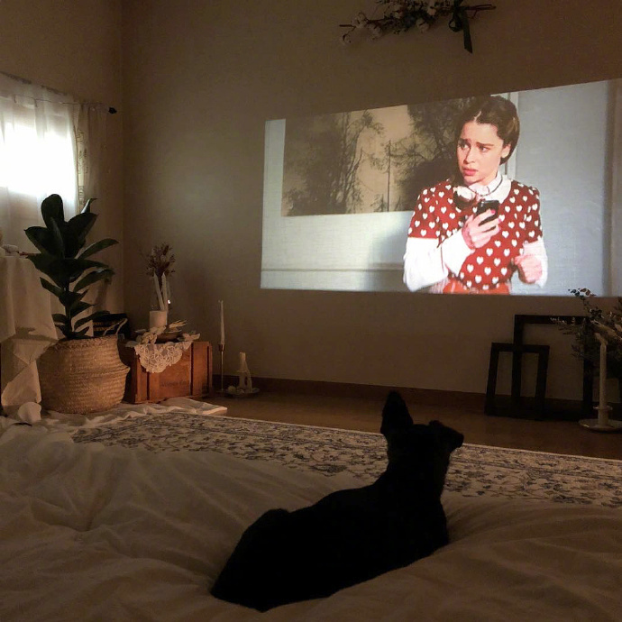 记忆家青年公寓靠谱吗,回忆租房住的日子郑州