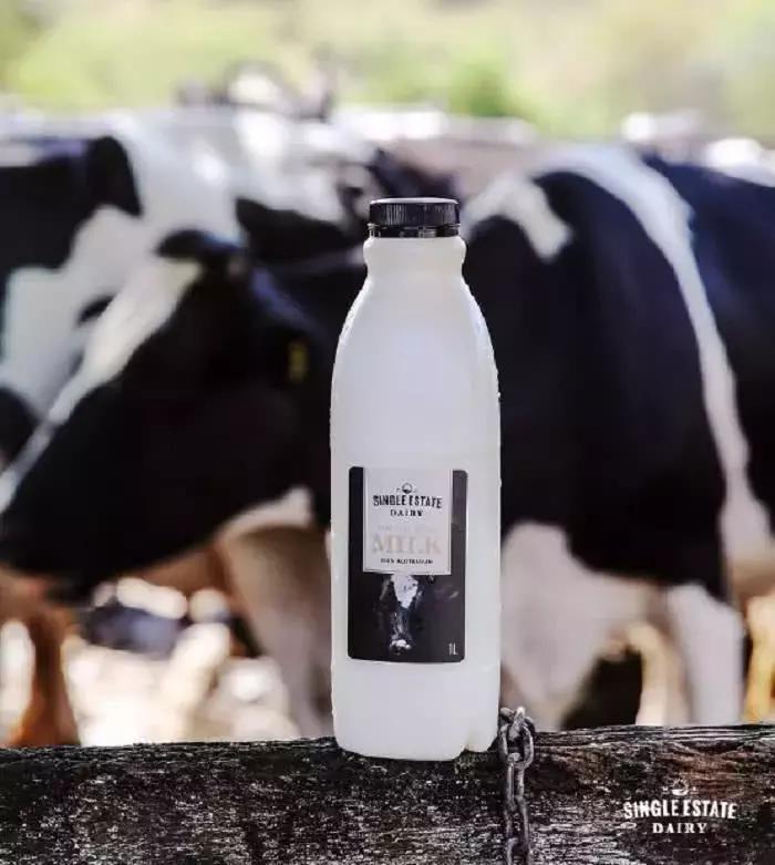 阿里巴巴双十一全球狂欢节,阿里巴巴双十一购物盛会