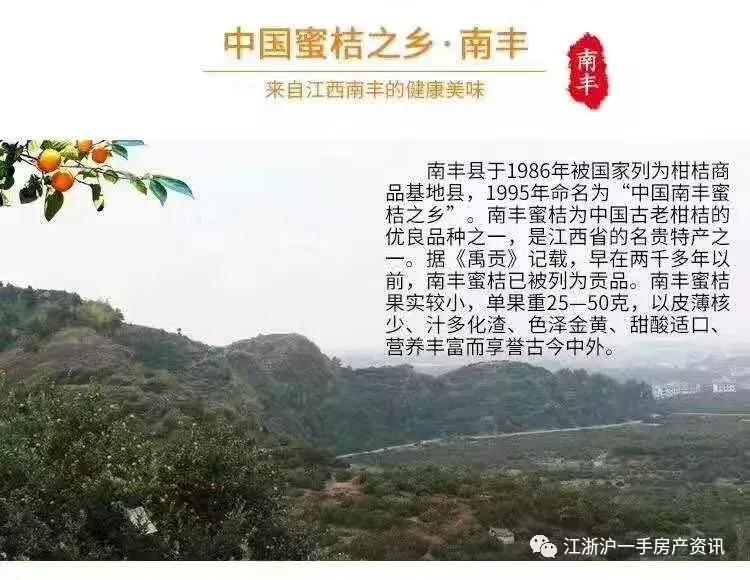 南丰县蜜桔贡桔,广西南丰贡桔