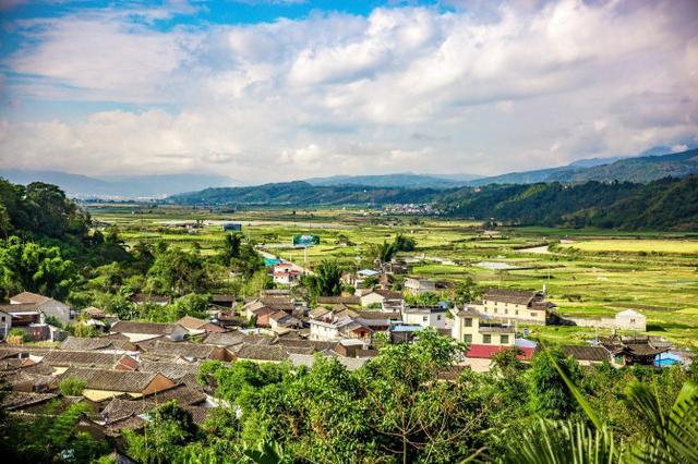 鑽疯姳鍙ら晣鑵惧啿,鑵惧啿鑽疯姳鍙ら晣