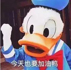 在莆田不能问什么,莆田问题回答