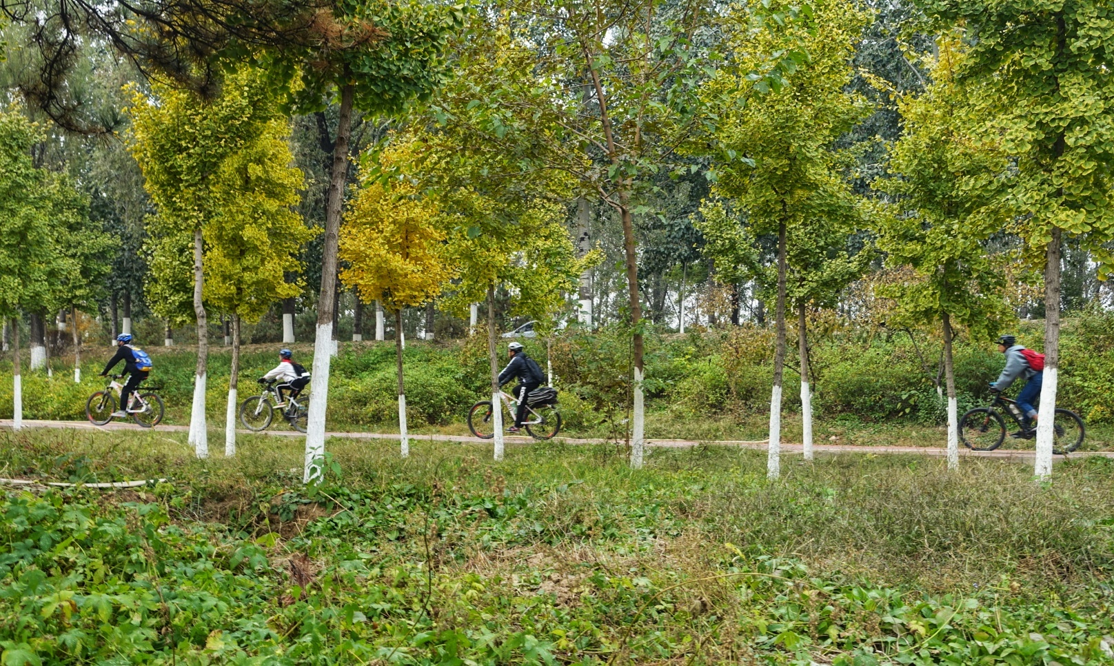北京昌平金秋风景,昌平金秋周边一日游最佳攻略