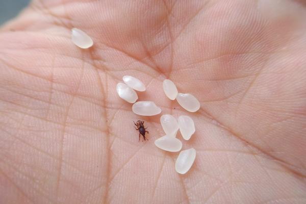 秋收再忙也要注意安全,秋收要注意安全