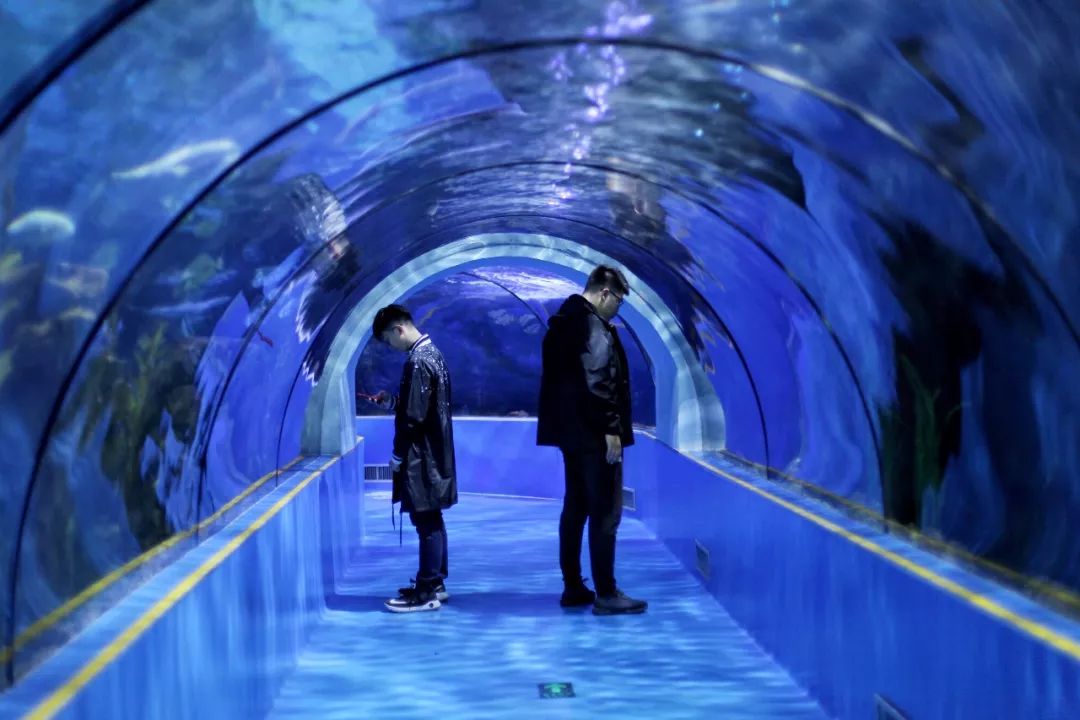 没有人来人往的城市,没有人山人海的地方