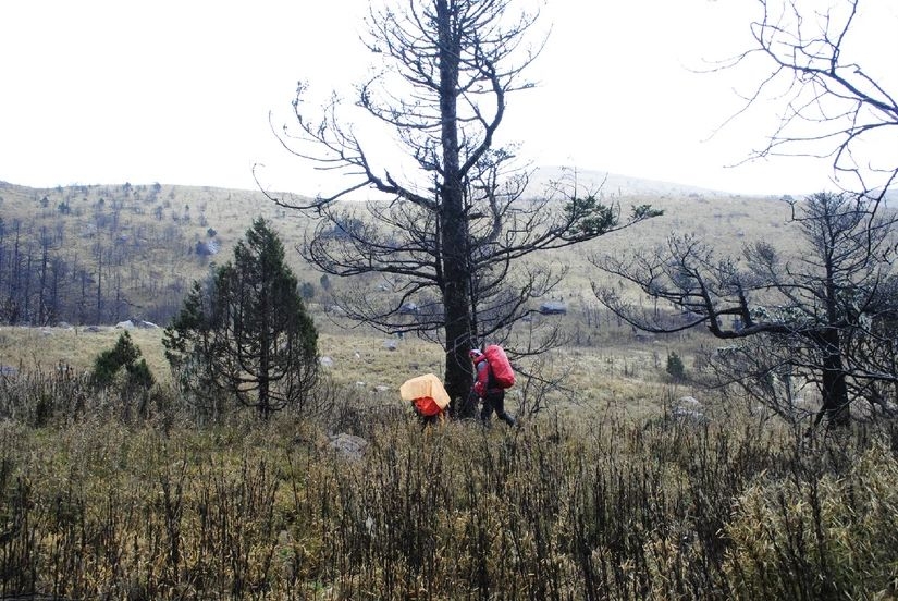 百慕大黑竹沟未解之谜,指南针失效