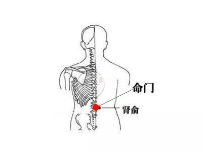 善手中医理疗正规吗,善手中医理疗培训