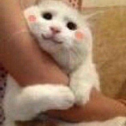 gucci泳衣不防水,gucci不防水的泳衣