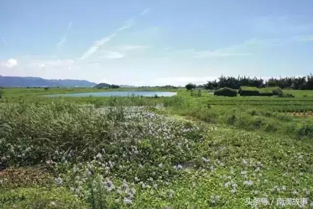 汕头地区有哪些旅游景点,汕头有哪些旅游景点