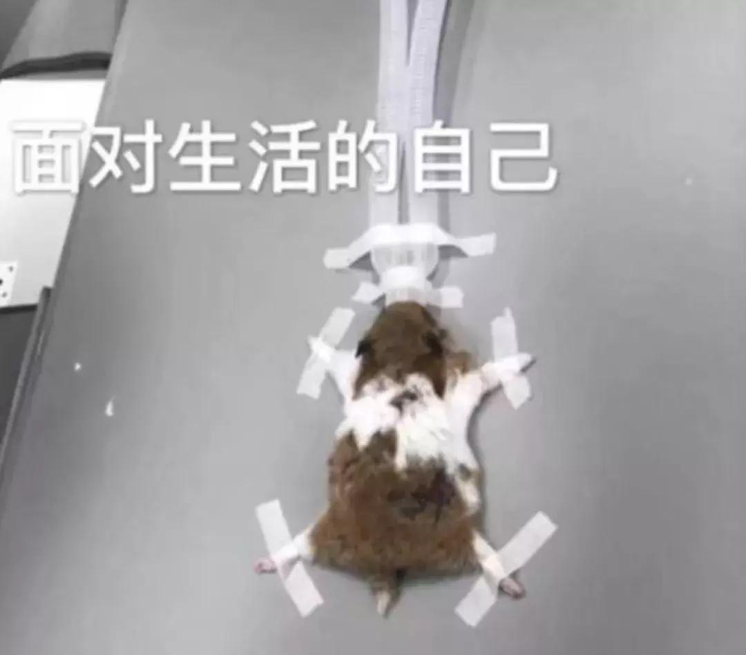 年轻女孩被迫结扎,22岁的女人结扎