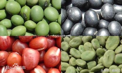 维生素b2功效神奇,维生素b2的十大功效头条搜索