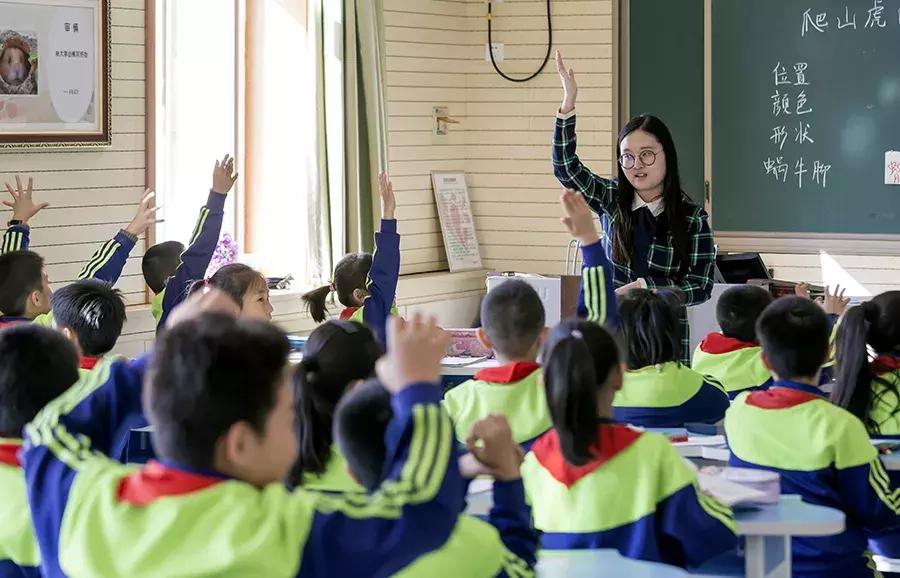 组团帮扶共进步名师引领促成长,精准发力培育教学名师