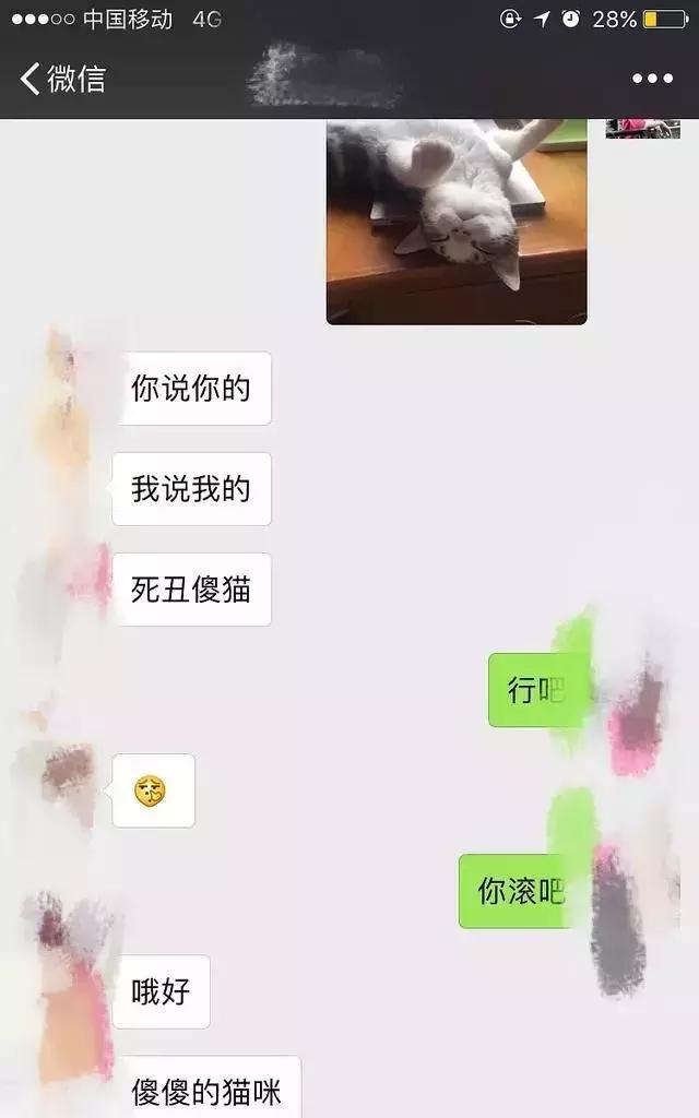 男朋友把猫打了一顿扔出去了,男朋友打我养的猫怎么办