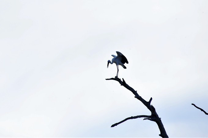 人文摄影斯里兰卡,锡兰风景