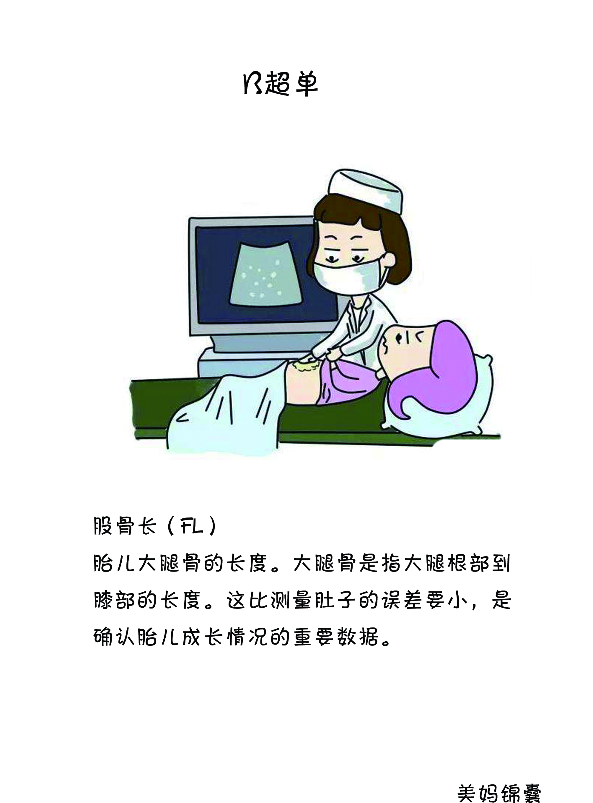 如何看b超单双肾图像,如何看b超单图像是圆形还是长形