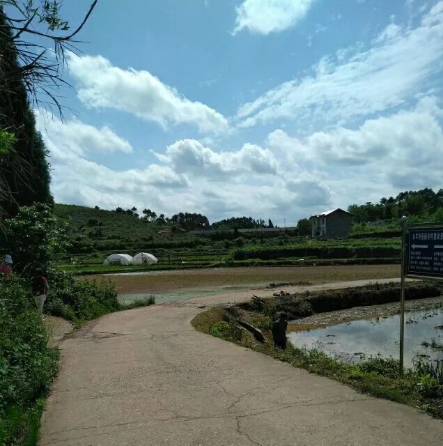 湘西小城故事特别多,小城故事湖南