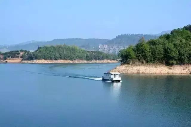 大叔为钓鱼买下一座岛,40岁大叔100块改造房间