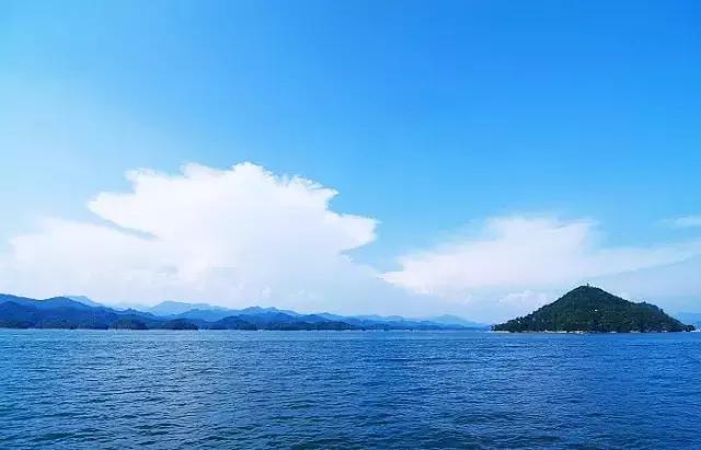 大叔为钓鱼买下一座岛,40岁大叔100块改造房间