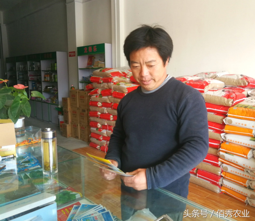 大棚种植什么蔬菜最赚钱,农村种菜赚钱技巧