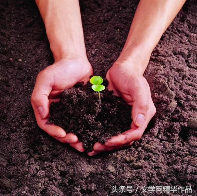 配夕阳晚霞的音乐伤感,适合配海边夕阳晚霞的音乐