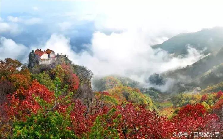 河南省赏红叶一日游,河南省秋天红叶最佳去处