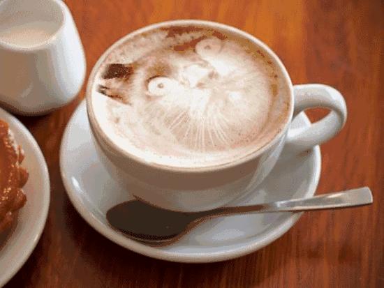 为什么瑞幸现在这么容易加盟通过,瑞幸加盟费及加盟条件单店加盟