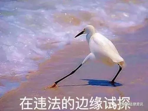 最高法对职业打假人的定性,关于最近职业打假人被抓