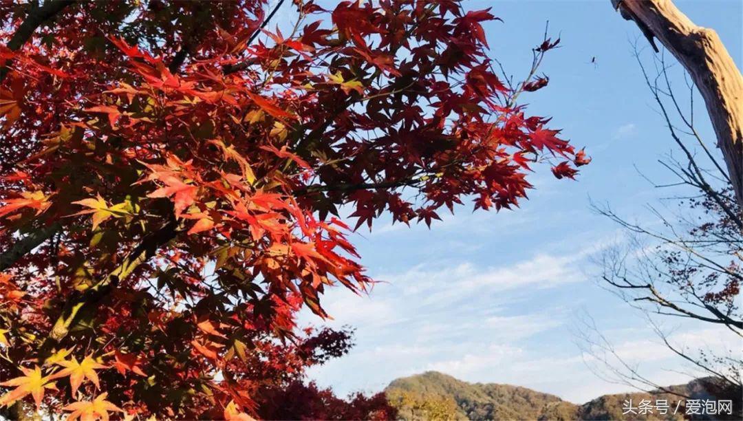 日本十大温泉胜地推荐,日本十大秘境温泉