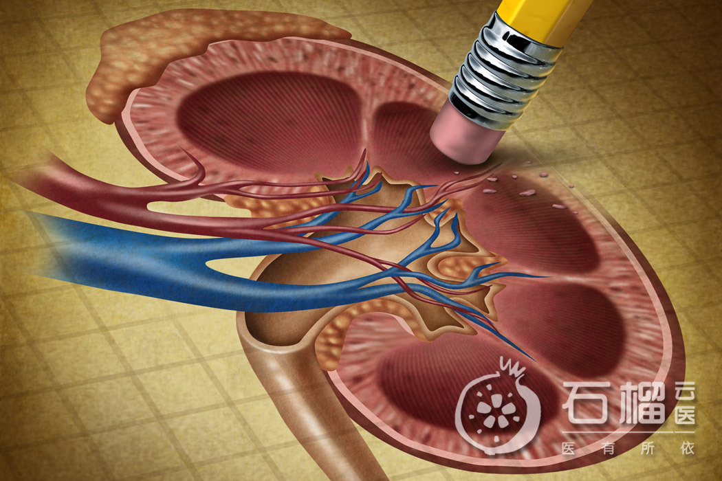 肾虚查肾脏查得出来吗,肾功能检查可以查出肾虚吗