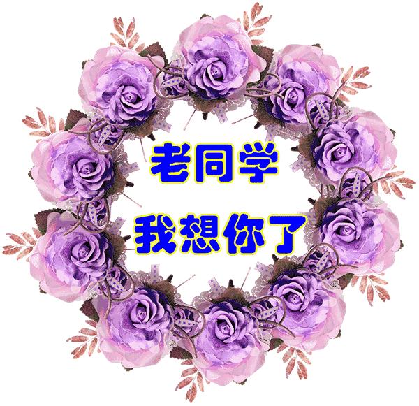 把最美的祝福送给亲爱的老同学,亲爱的老同学祝福语