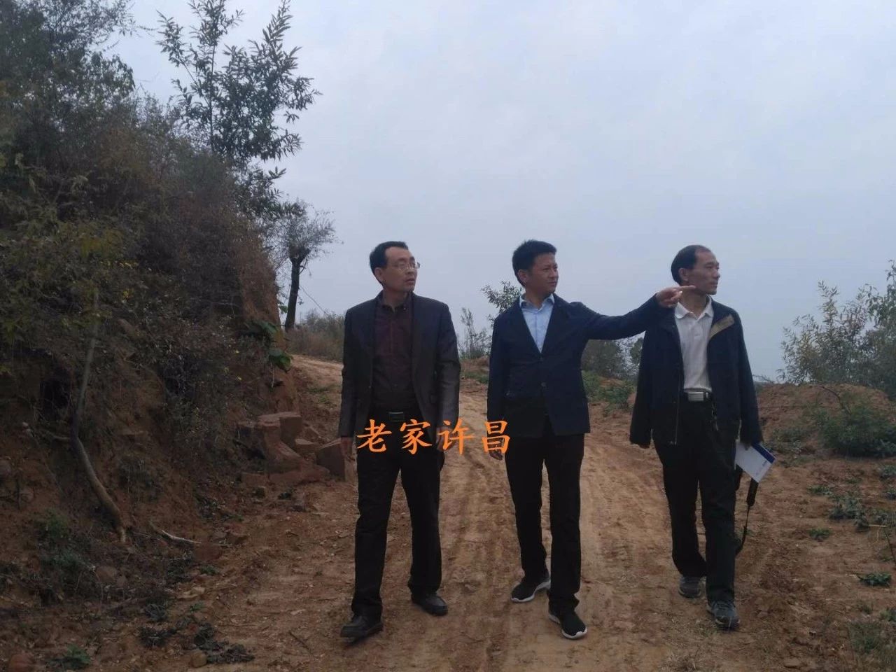 嘿，咱许昌有个地方产黑柿子，你知道吗？