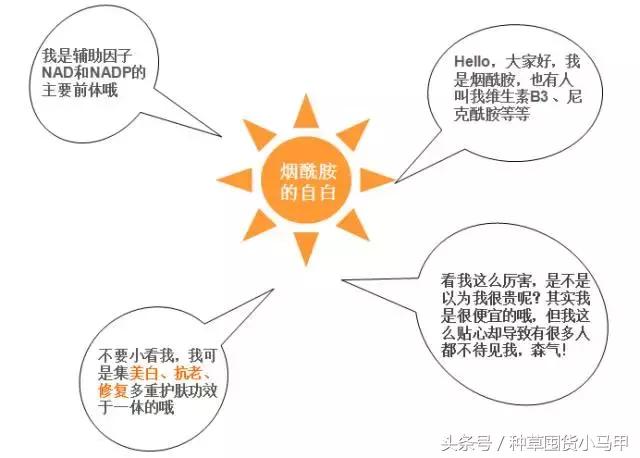 烟酰胺的本质,烟酰胺真的能美白吗怎么用