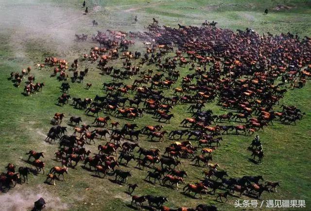 伊犁最美旅游风景区,伊犁旅游攻略探索最美风光