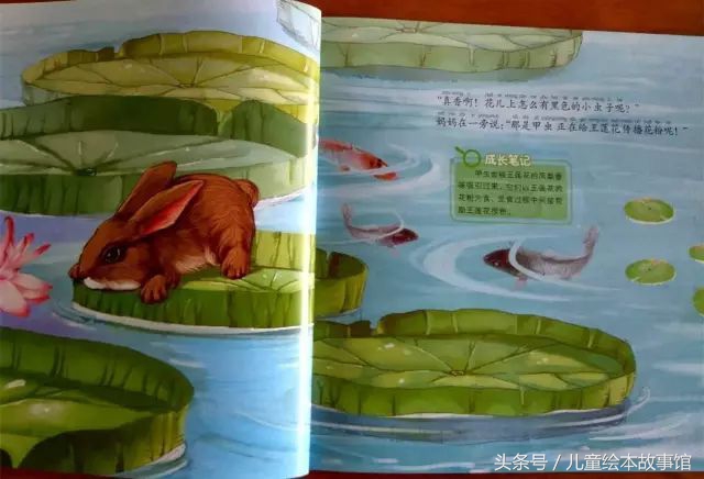 儿童绘本故事美丽的风景,花儿的故事绘本