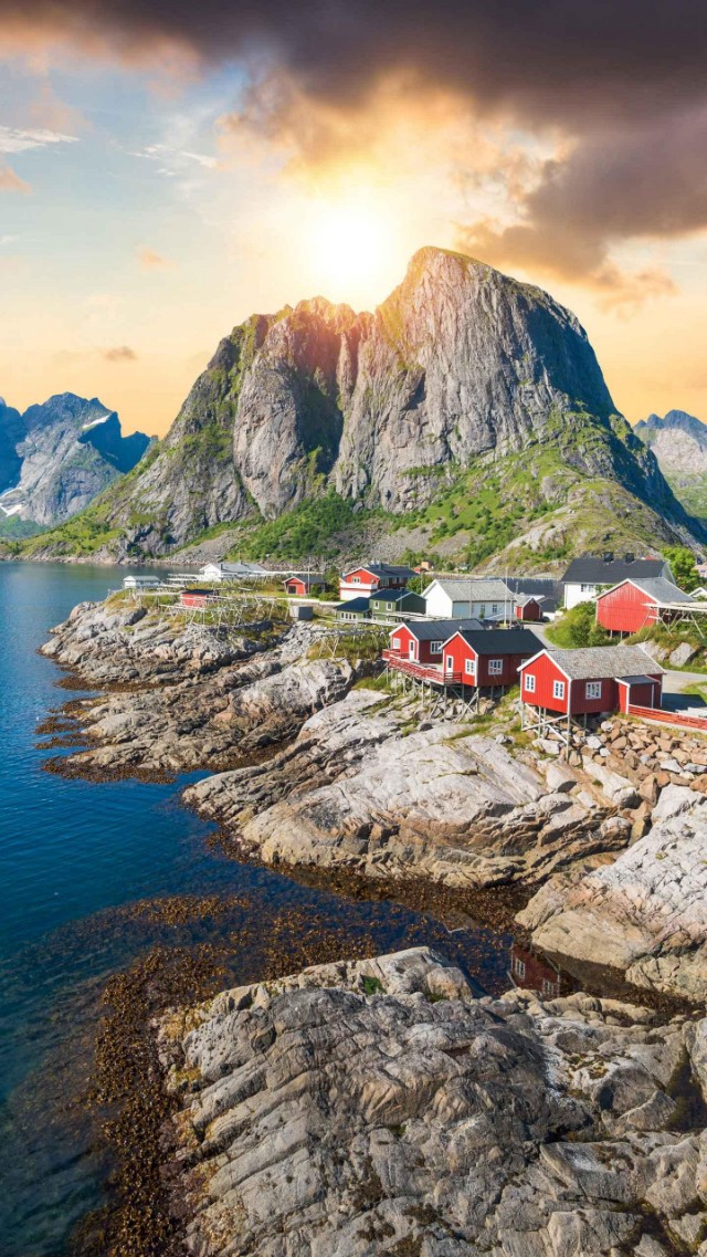 原创论文《当今诗人，以不懂为美》