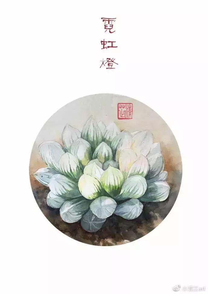 多肉上色真正的原因,多肉上色的变化