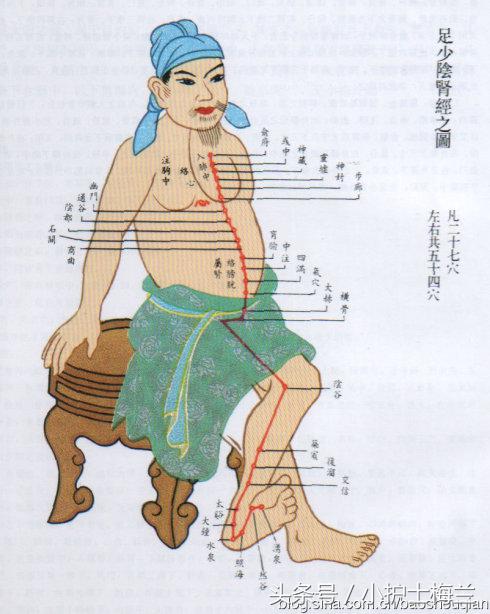 任督二脉功法图,真气打通任督二脉图解