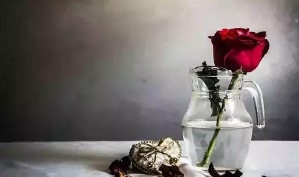 一个乞丐独特思维,一个乞丐的人生哲理