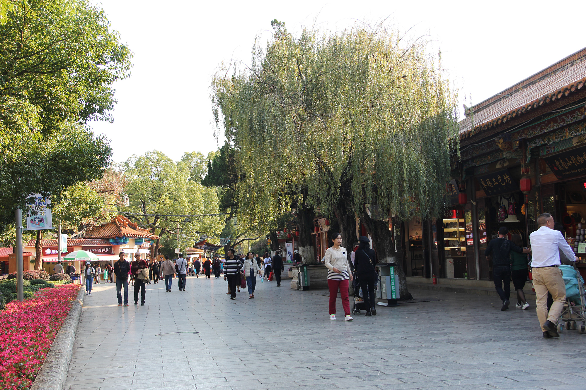 翠湖公园昆明最大的公园,翠湖公园是昆明哪个区