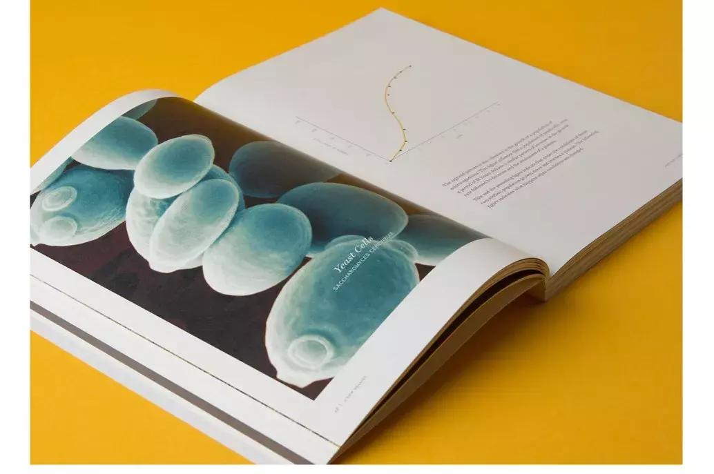 装帧设计最好看的书,世界最美书籍装帧设计