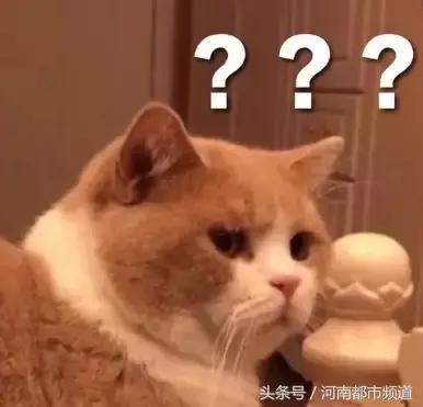 “砰砰”！从7楼坠下，将车顶砸出一个坑！它一点事没有