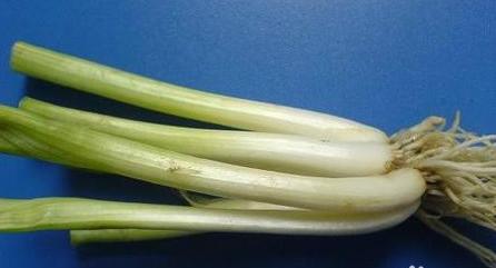 准妈妈、宝妈们感冒了怎么办呢？原创文