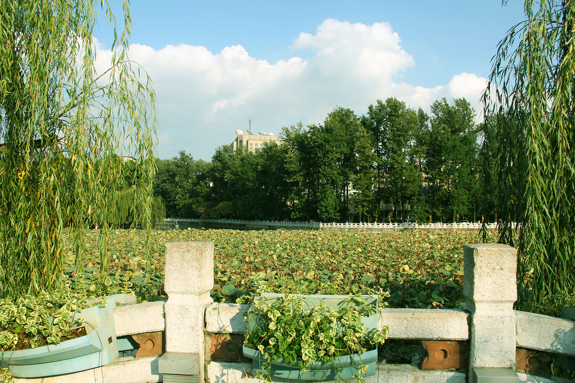 昆明翠湖公园照片,昆明翠湖公园简介资料