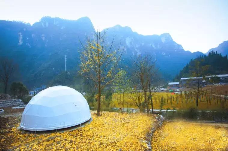 宜昌百家文化生活空间正在推选丨长阳卓尔文旅：你想要的诗与远方